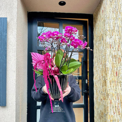 Deluxe Multi Fuchsia Orchid